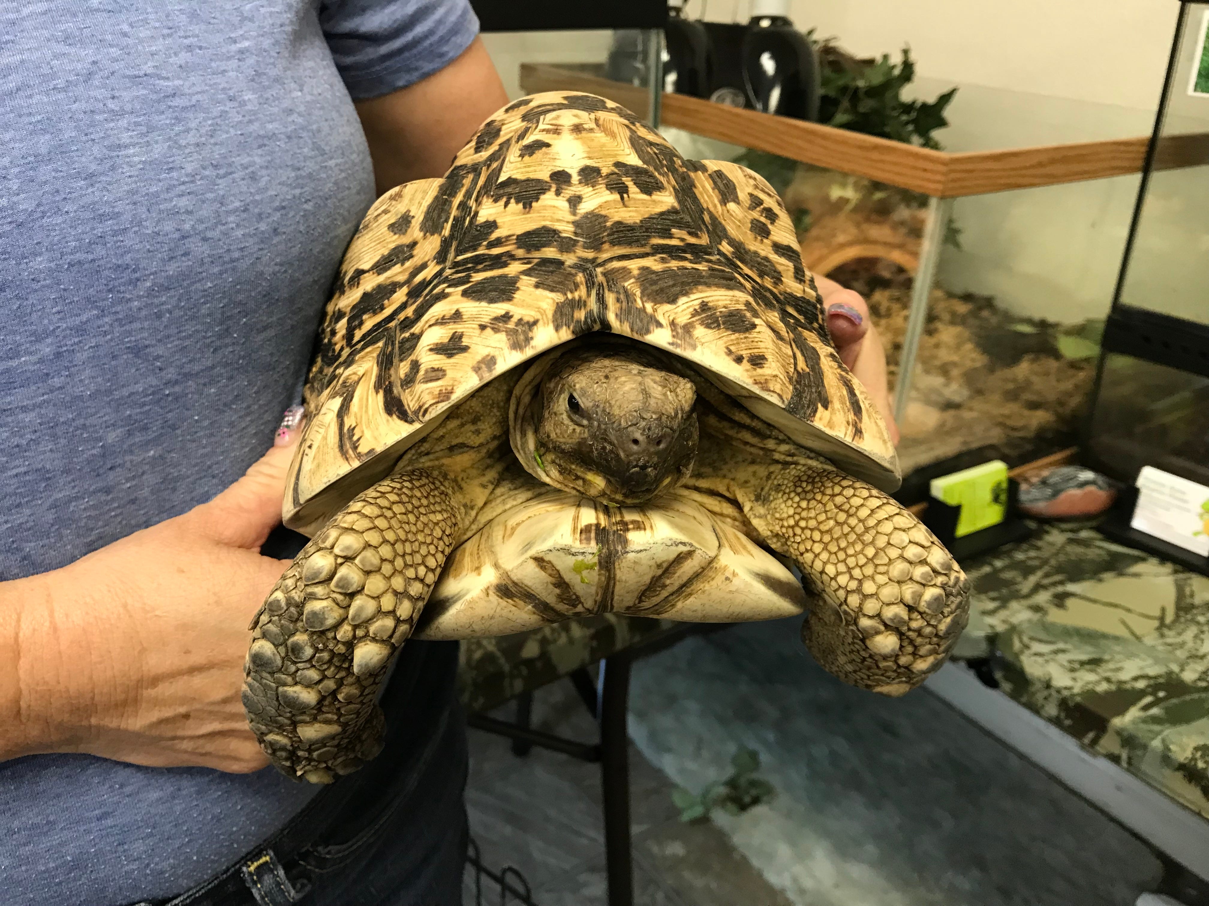 reptile sanctuary near me